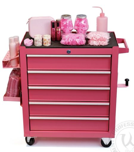 Caja Herramientas 5 Gavetas -  Fucsia